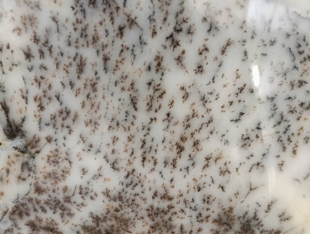 Polished Dendritic White Opal Agate Standing Free Forms x 4 From Moralambo, Madagascar