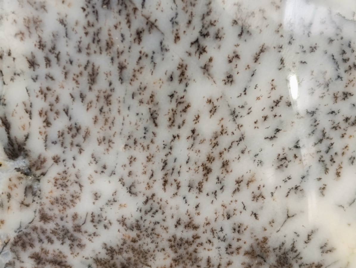 Polished Dendritic White Opal Agate Standing Free Forms x 4 From Moralambo, Madagascar