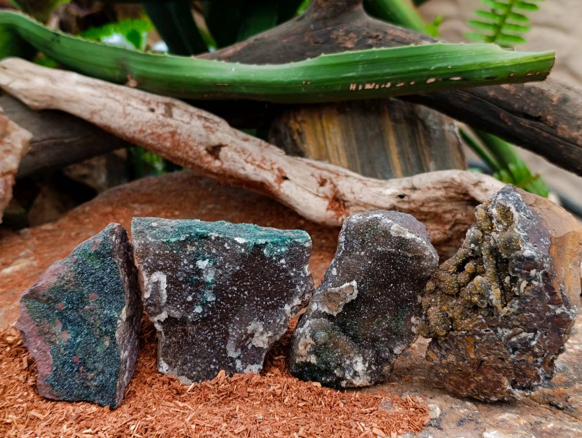 Natural Drusy Hemimorphite, Libethenite and Malachite On Dolomite Specimens x 4 From Shituru Mine, Congo