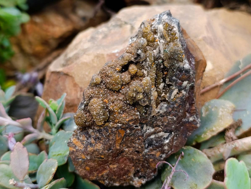 Natural Drusy Hemimorphite, Libethenite and Malachite On Dolomite Specimens x 4 From Shituru Mine, Congo