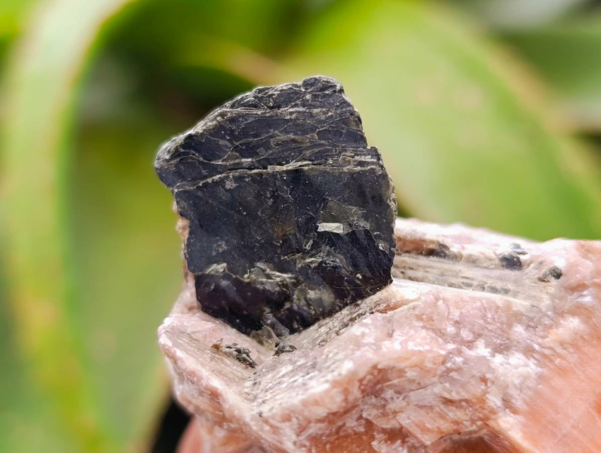Natural Sunset Orange Calcite Specimens x 24 From Spitzkop, Namibia
