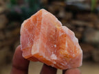 Natural Sunset Orange Calcite Specimens x 24 From Spitzkop, Namibia