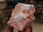 Natural Sunset Orange Calcite Specimens x 24 From Spitzkop, Namibia