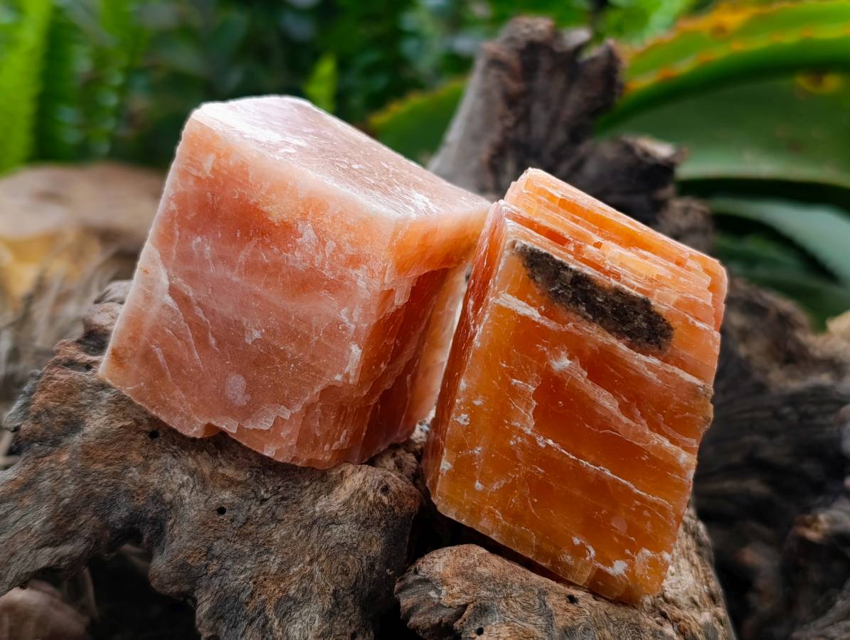 Natural Sunset Orange Calcite Specimens x 24 From Spitzkop, Namibia