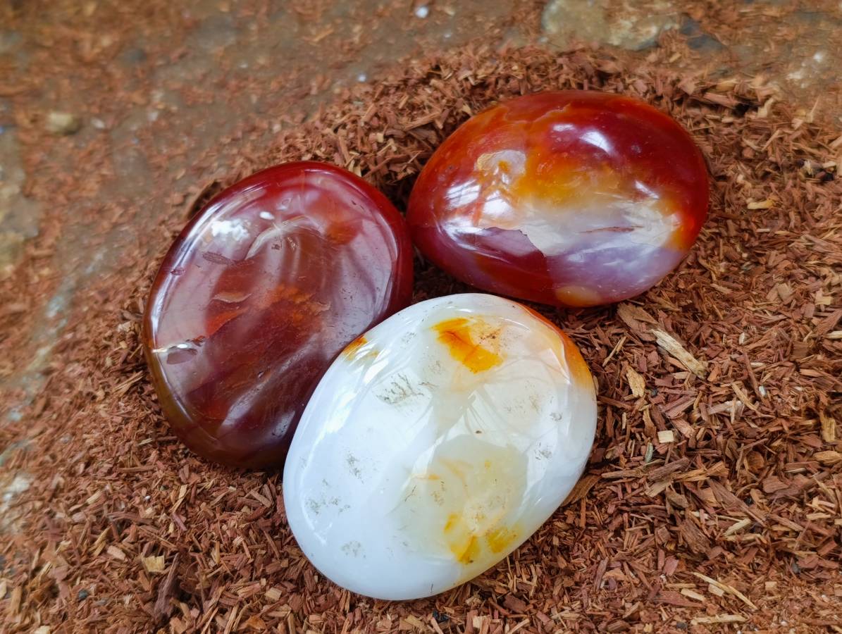 Polished Carnelian Agate Gemstone Galets x 20 From Madagascar