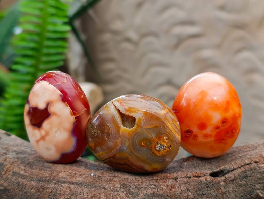 Polished Carnelian Agate Gemstone Galets x 20 From Madagascar