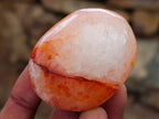 Polished Carnelian Agate Gemstone Galets x 20 From Madagascar