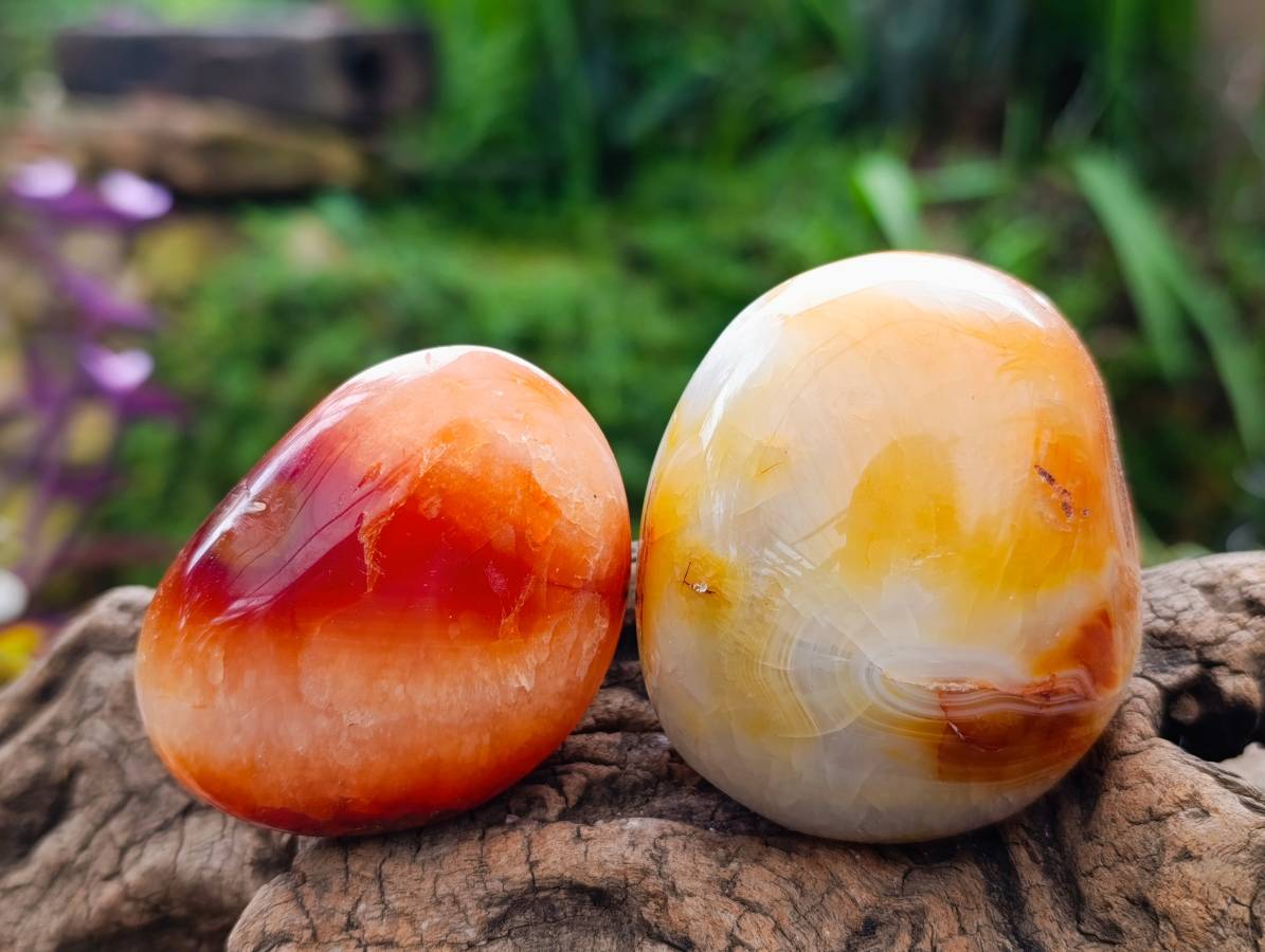 Polished Carnelian Agate Gemstone Galets x 20 From Madagascar