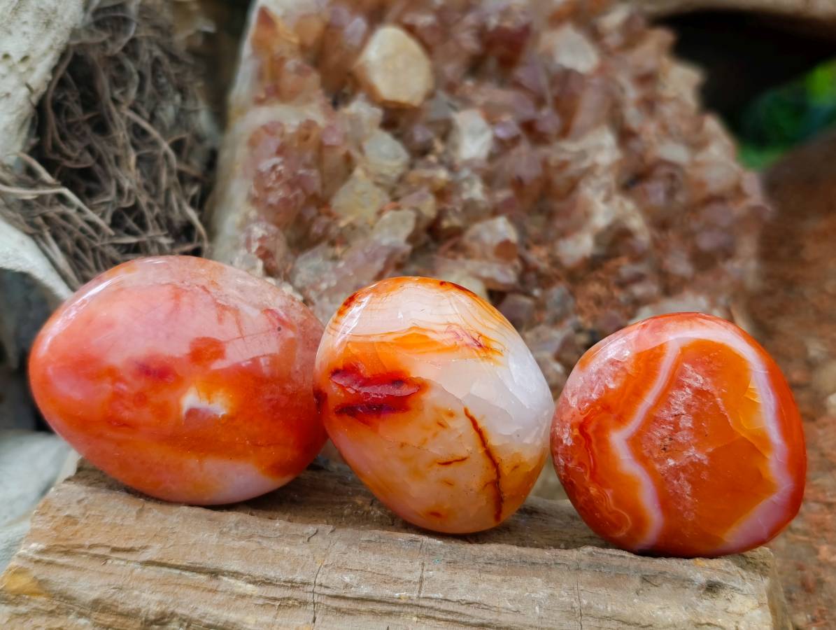 Polished Carnelian Agate Gemstone Galets x 20 From Madagascar