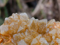 Natural Limonite Quartz Clusters x 6 From Solwezi, Zambia