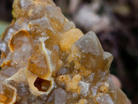 Natural Limonite Quartz Clusters x 6 From Solwezi, Zambia