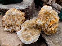 Natural Limonite Quartz Clusters x 6 From Solwezi, Zambia