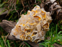 Natural Limonite Quartz Clusters x 6 From Solwezi, Zambia