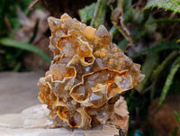 Natural Limonite Quartz Clusters x 6 From Solwezi, Zambia