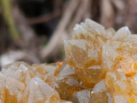 Natural Limonite Quartz Clusters x 6 From Solwezi, Zambia
