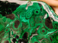 Polished Flower Banded Malachite Free Forms x 3 From Congo