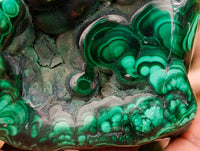 Polished Flower Banded Malachite Free Forms x 3 From Congo