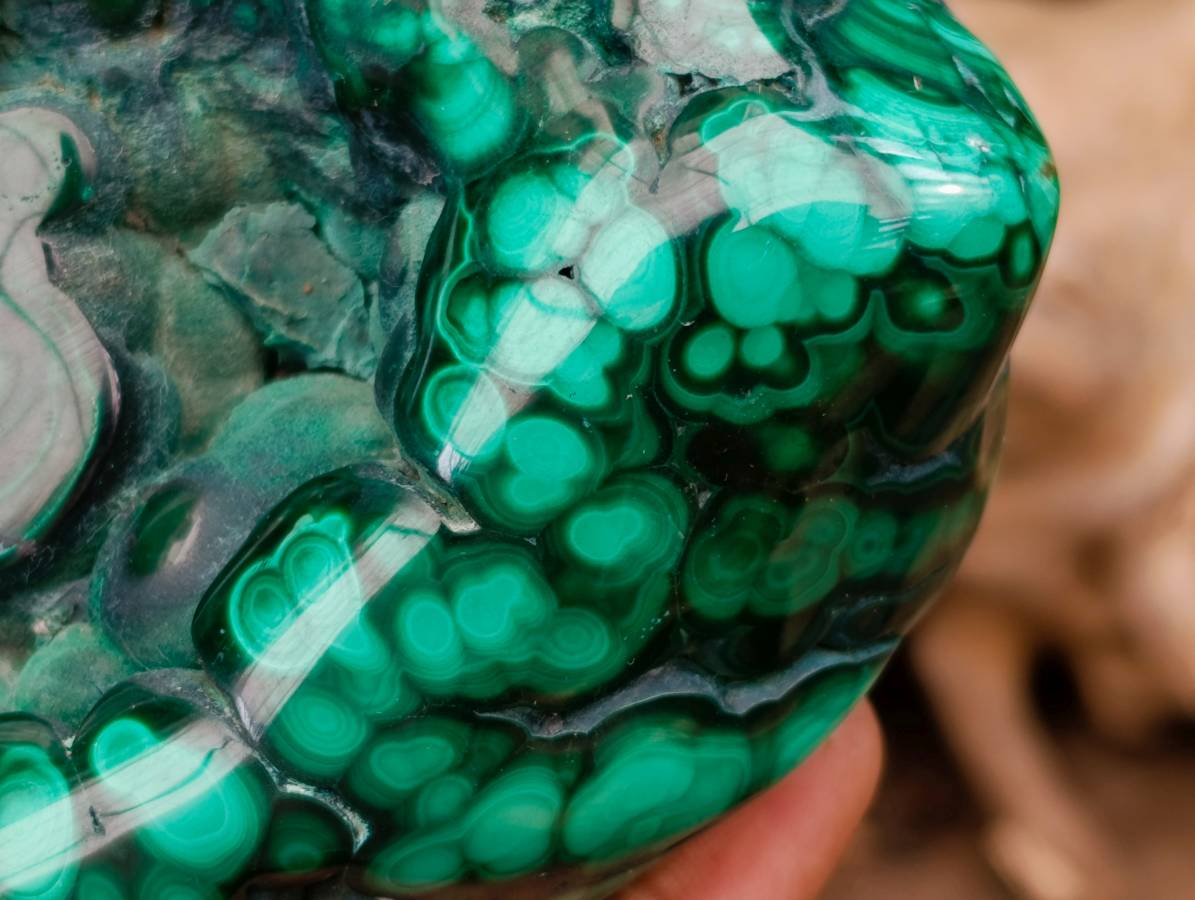 Polished Flower Banded Malachite Free Forms x 3 From Congo