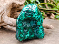 Polished Flower Banded Malachite Free Forms x 3 From Congo