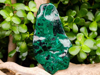 Polished Flower Banded Malachite Free Forms x 3 From Congo