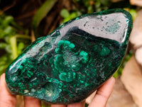 Polished Flower Banded Malachite Free Forms x 3 From Congo