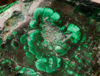 Polished Flower Banded Malachite Free Forms x 3 From Congo