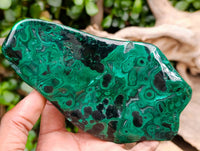 Polished Flower Banded Malachite Free Forms x 3 From Congo