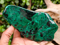 Polished Flower Banded Malachite Free Forms x 3 From Congo