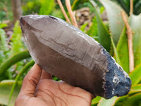 Natural Smokey Quartz Crystals x 3 From Mulanje, Malawi