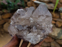 Natural Smokey Quartz Crystals x 3 From Mulanje, Malawi