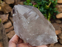 Natural Smokey Quartz Crystals x 3 From Mulanje, Malawi