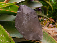 Natural Smokey Quartz Crystals x 3 From Mulanje, Malawi