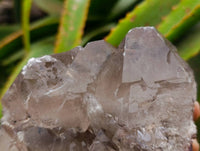 Natural Smokey Quartz Crystals x 3 From Mulanje, Malawi