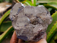Natural Smokey Quartz Crystals x 3 From Mulanje, Malawi