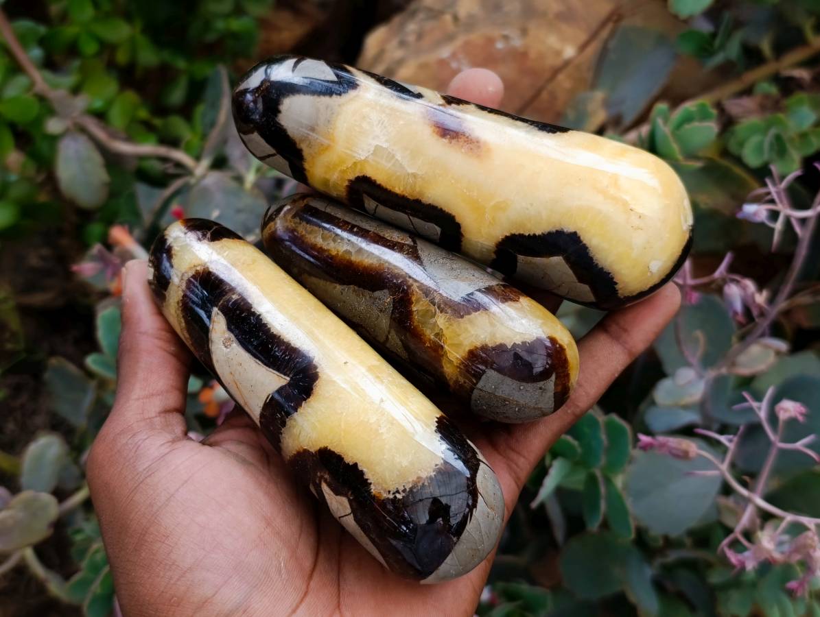 Polished Septerye Massage Wands x 6 From Mahajanga, Madagascar