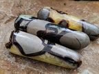 Polished Septerye Massage Wands x 6 From Mahajanga, Madagascar