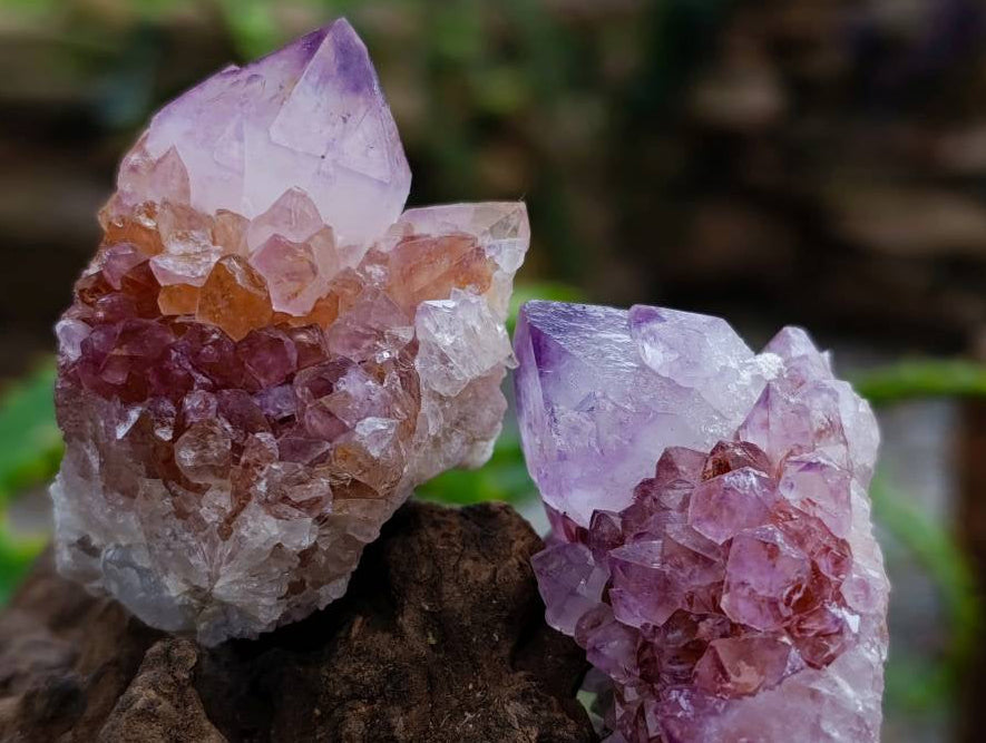 Natural Sunburst Amethyst Spirit Clusters x 20 From Boekenhouthoek, South Africa