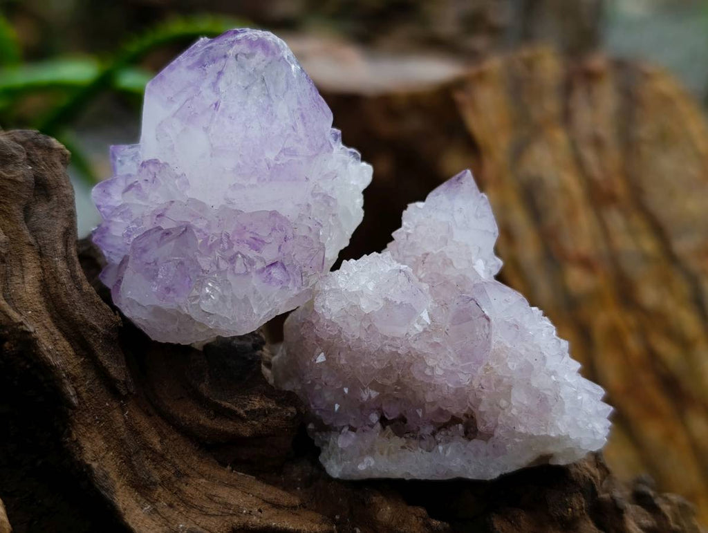Natural Sunburst Amethyst Spirit Clusters x 20 From Boekenhouthoek, South Africa