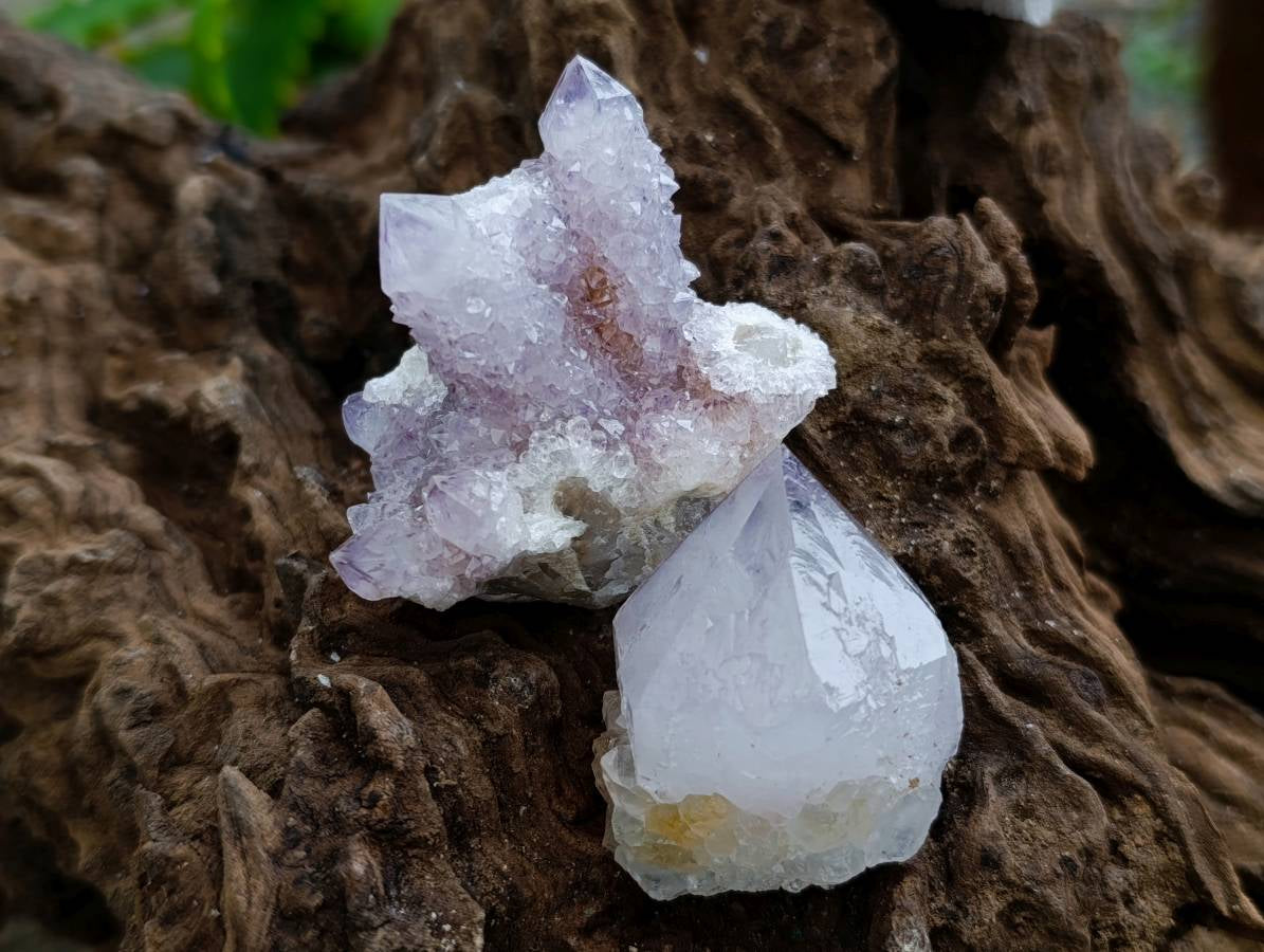 Natural Sunburst Amethyst Spirit Clusters x 20 From Boekenhouthoek, South Africa