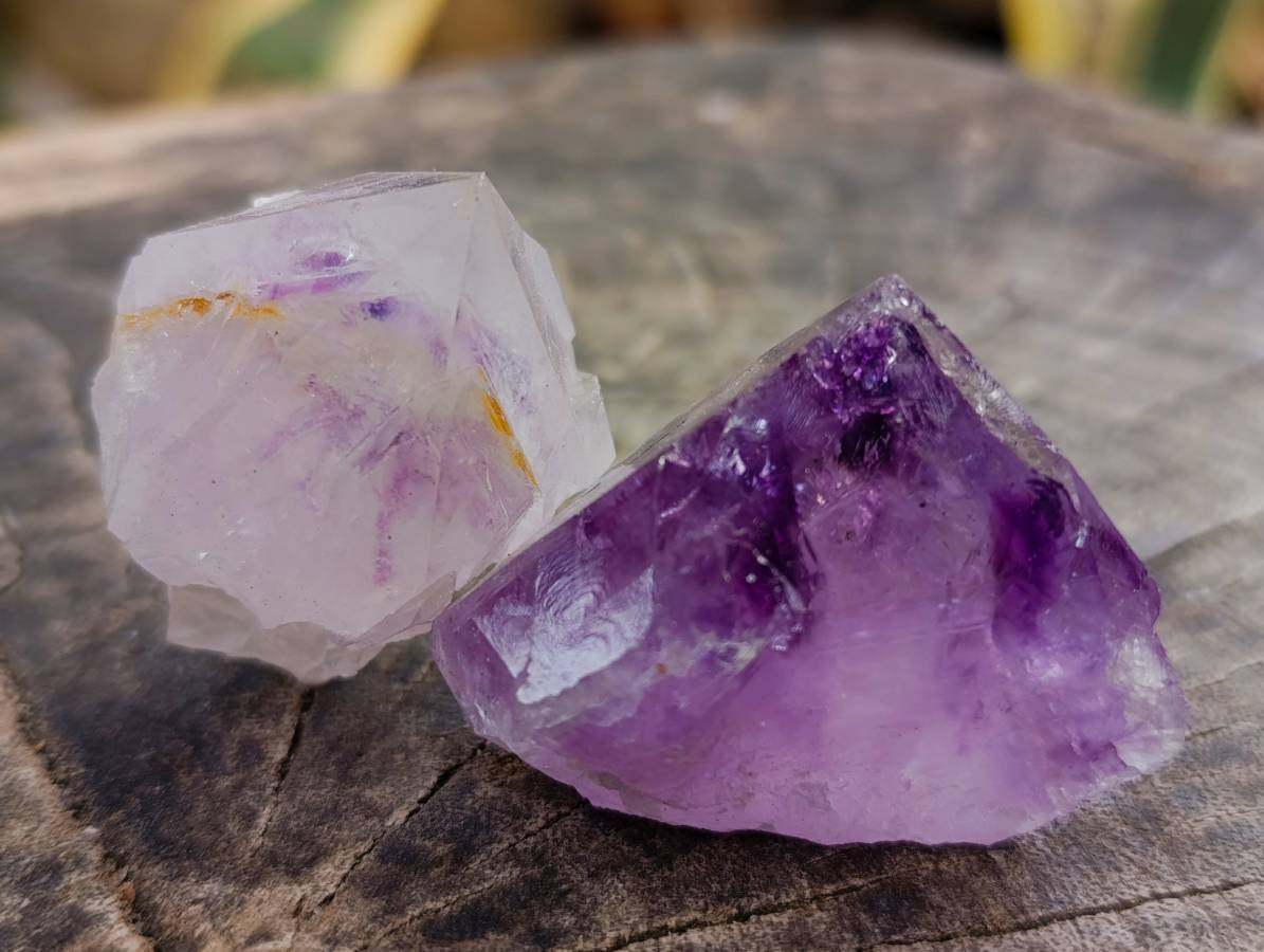 Natural Sunburst Amethyst Spirit Clusters x 20 From Boekenhouthoek, South Africa