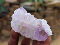 Natural Sunburst Amethyst Spirit Clusters x 20 From Boekenhouthoek, South Africa