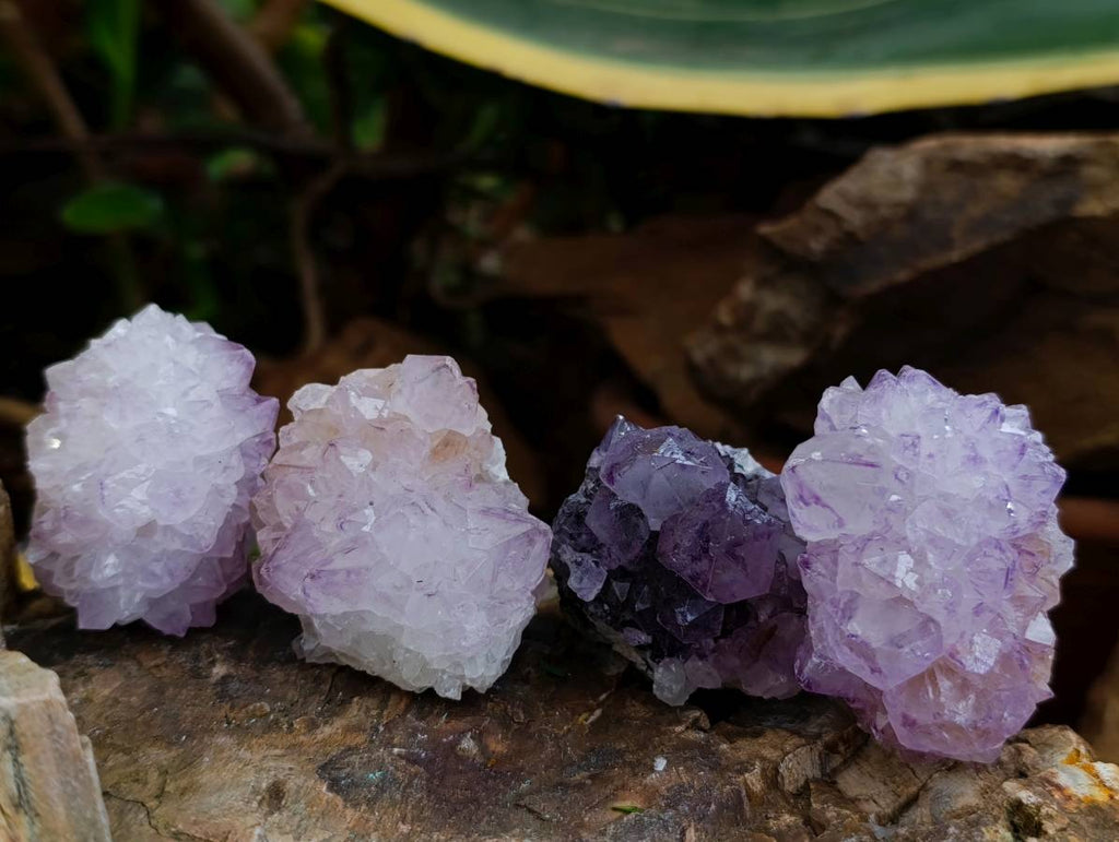 Natural Sunburst Amethyst Spirit Clusters x 20 From Boekenhouthoek, South Africa