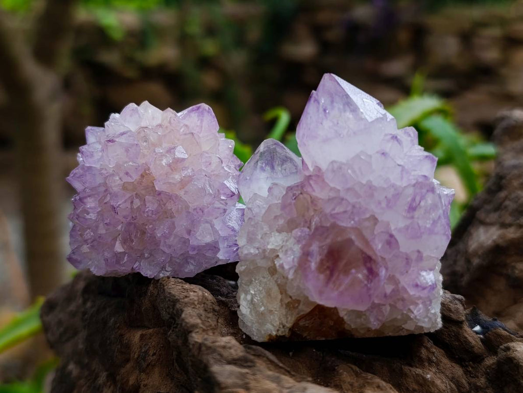 Natural Sunburst Amethyst Spirit Clusters x 20 From Boekenhouthoek, South Africa
