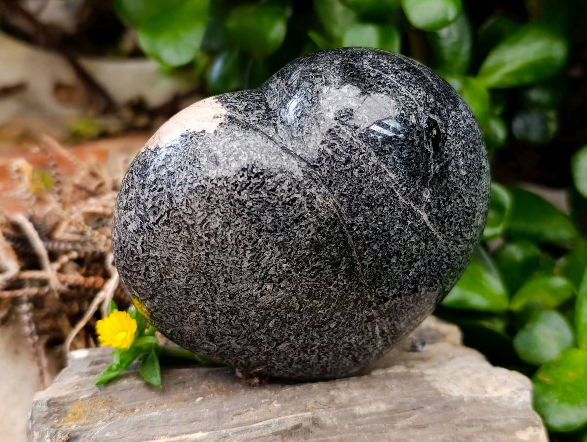 Polished Black Tourmaline Hearts In Matrix x 3 From Madagascar