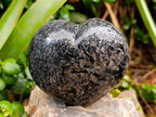 Polished Black Tourmaline Hearts In Matrix x 3 From Madagascar