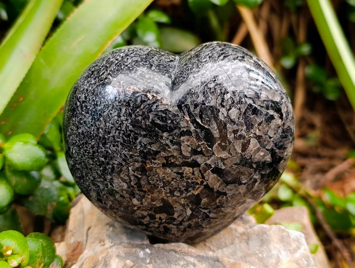 Polished Black Tourmaline Hearts In Matrix x 3 From Madagascar
