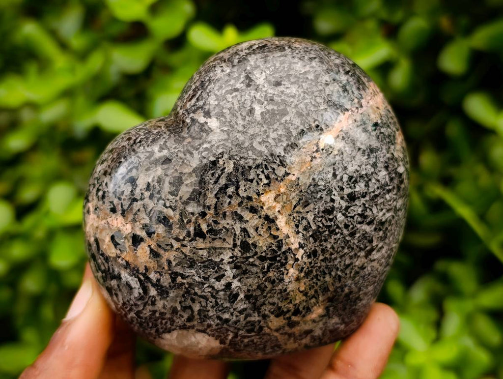 Polished Black Tourmaline Hearts In Matrix x 3 From Madagascar