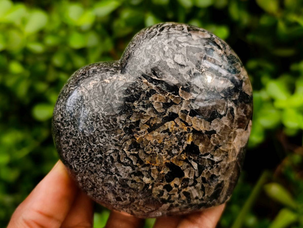 Polished Black Tourmaline Hearts In Matrix x 3 From Madagascar