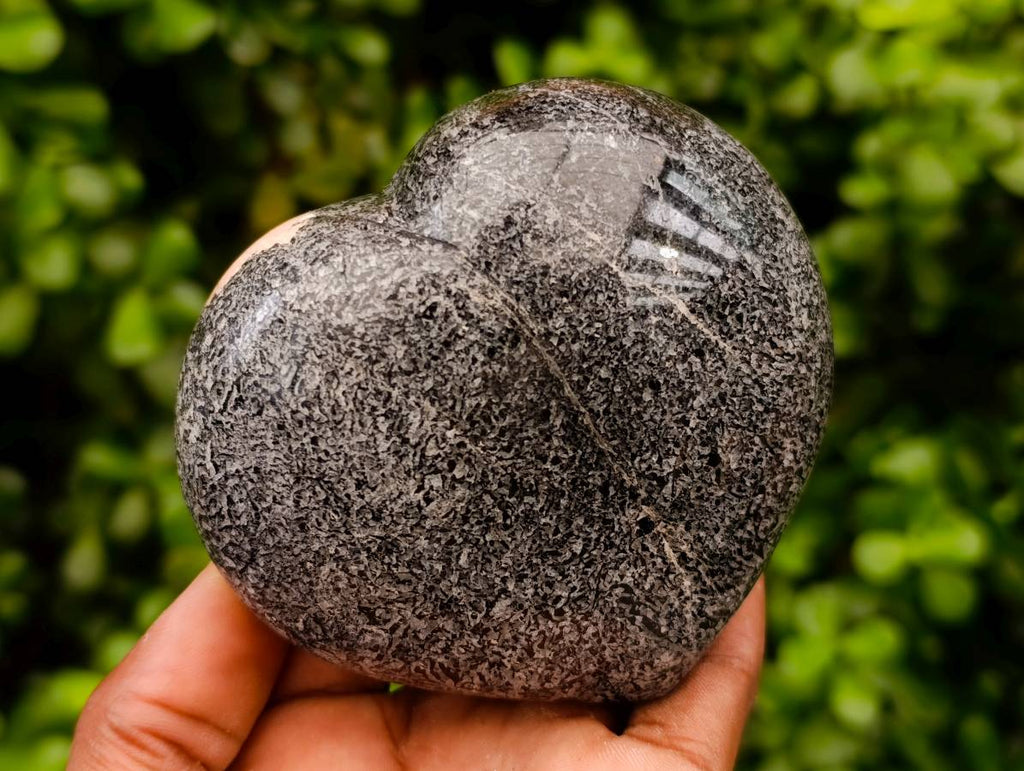 Polished Black Tourmaline Hearts In Matrix x 3 From Madagascar