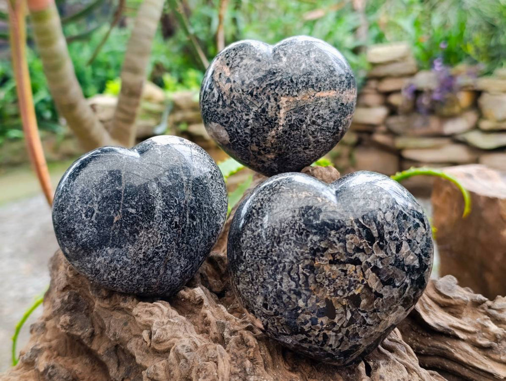 Polished Black Tourmaline Hearts In Matrix x 3 From Madagascar